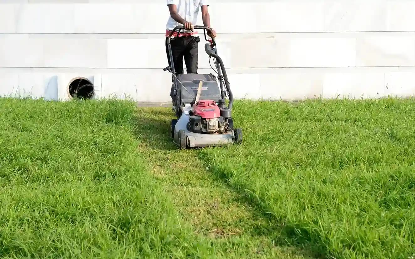 Benefits of Regular Lawn Care