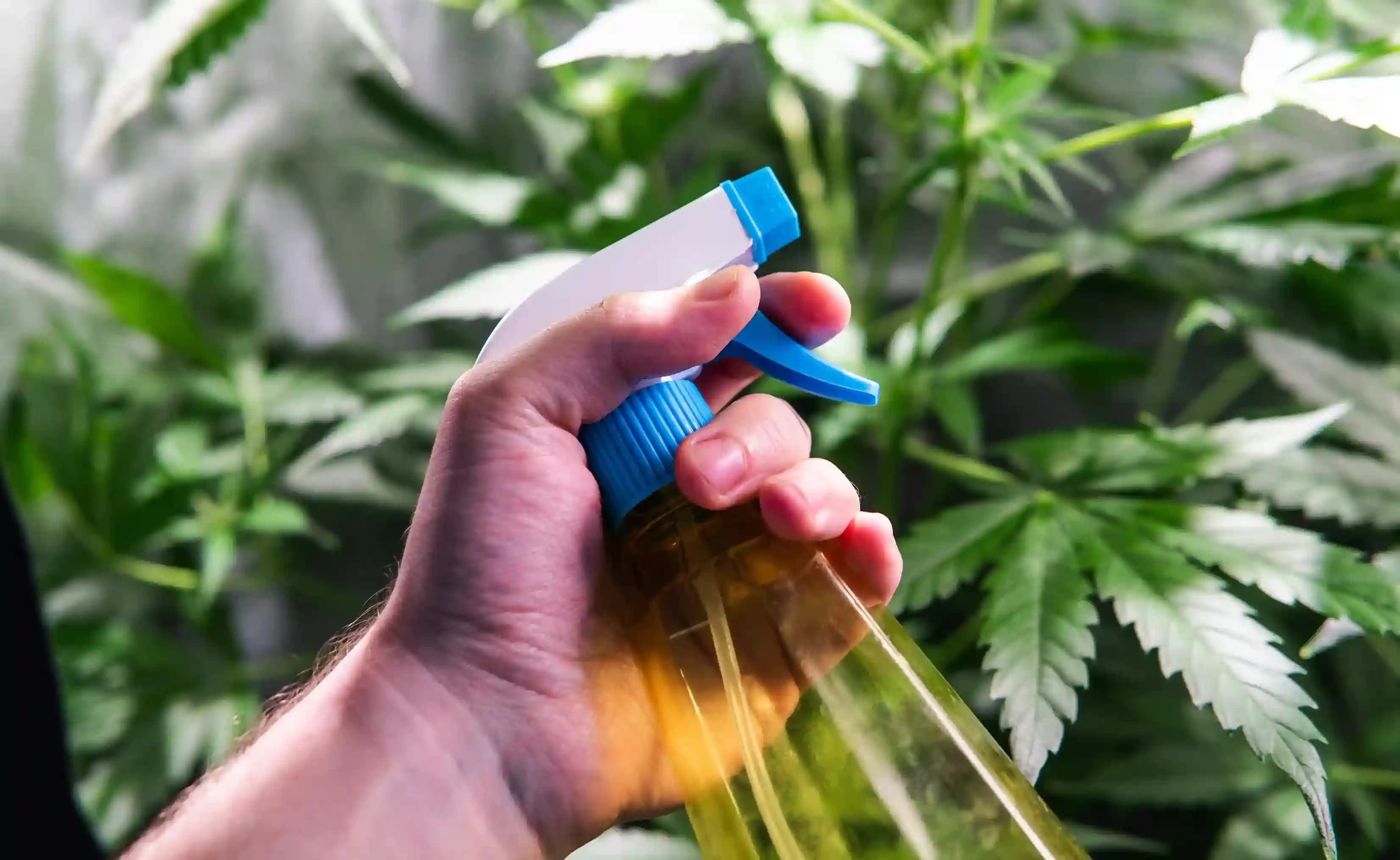 Weed & Insect Control